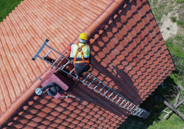 Best Asphalt Shingle Roofing  in Westwood, MI